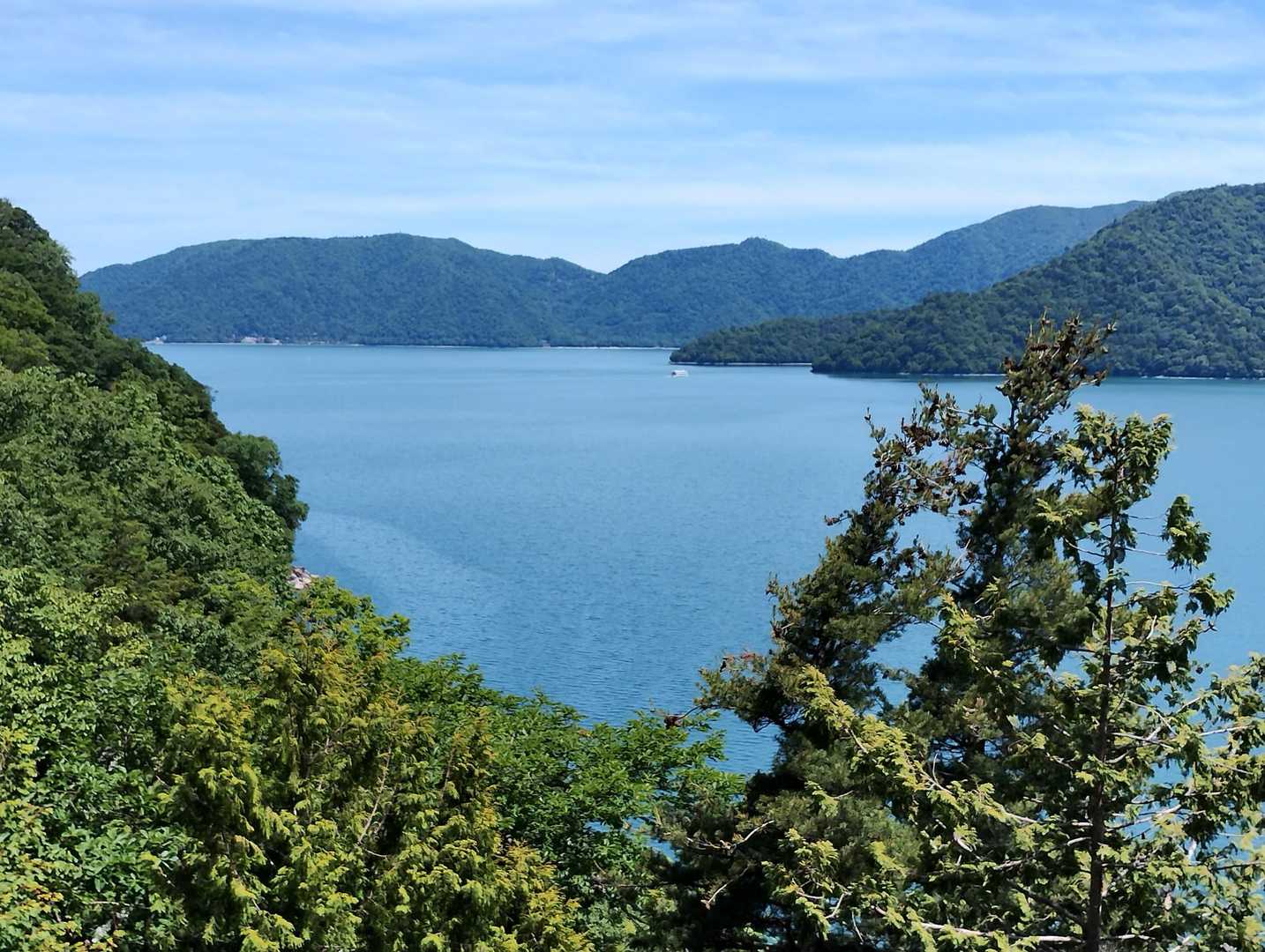 遊歩道からの景色も👍