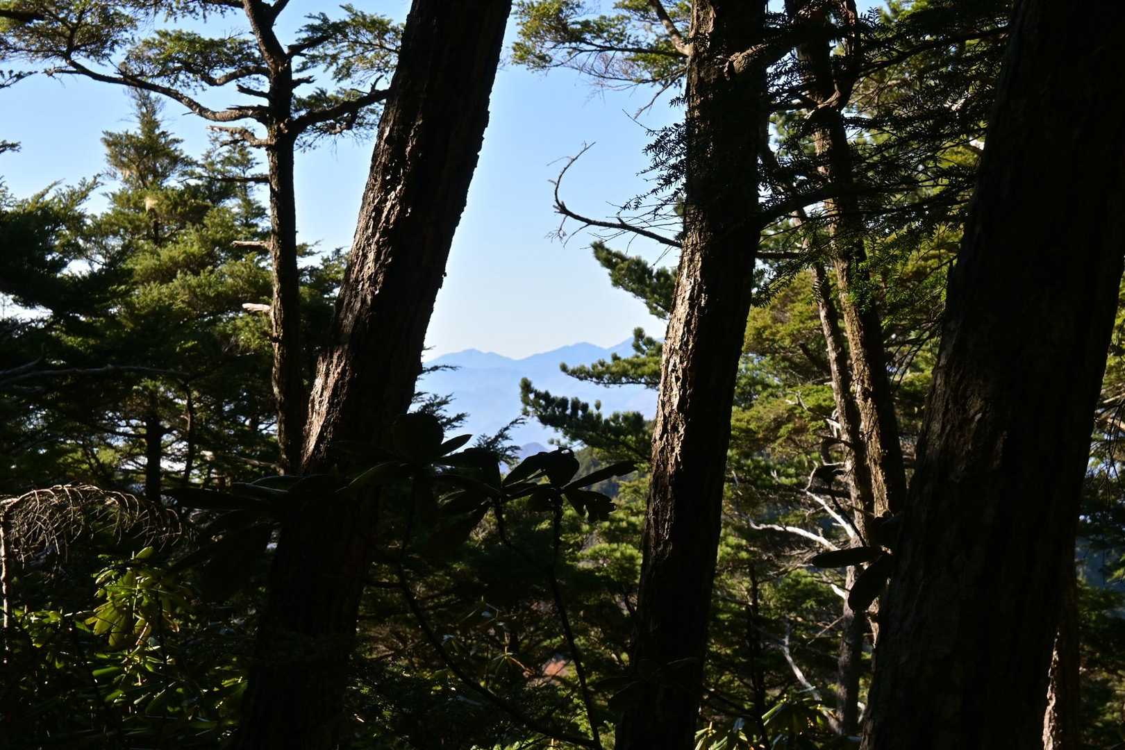 八丁平-小川山 往復コースの写真