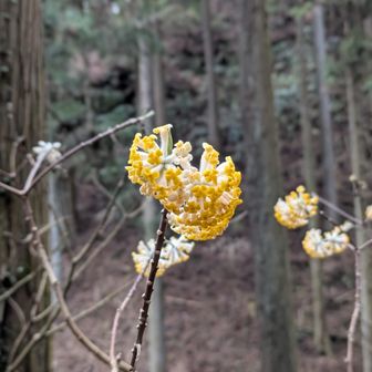 本日は、無料です🍀
