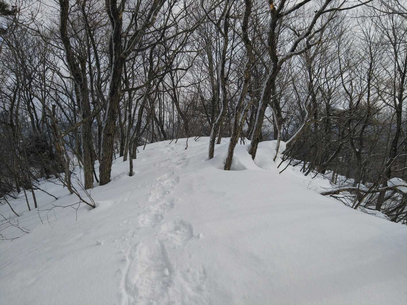 焼山山頂
煙は出ていません。