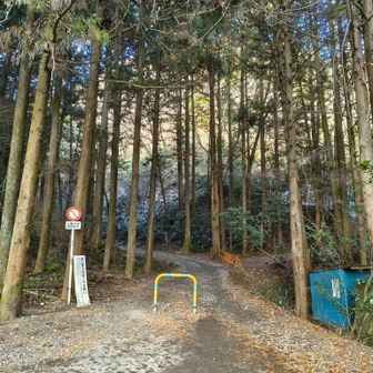 ということで、ここからは山散歩です。