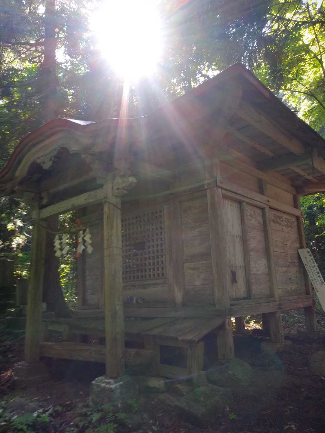 青龍寺登山口-金峯山-鎧ヶ峰 周回コースの写真