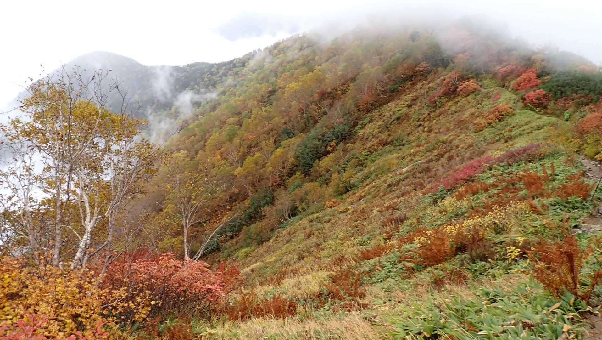 紅葉は、写真より実際はもっと鮮やかできれいだった