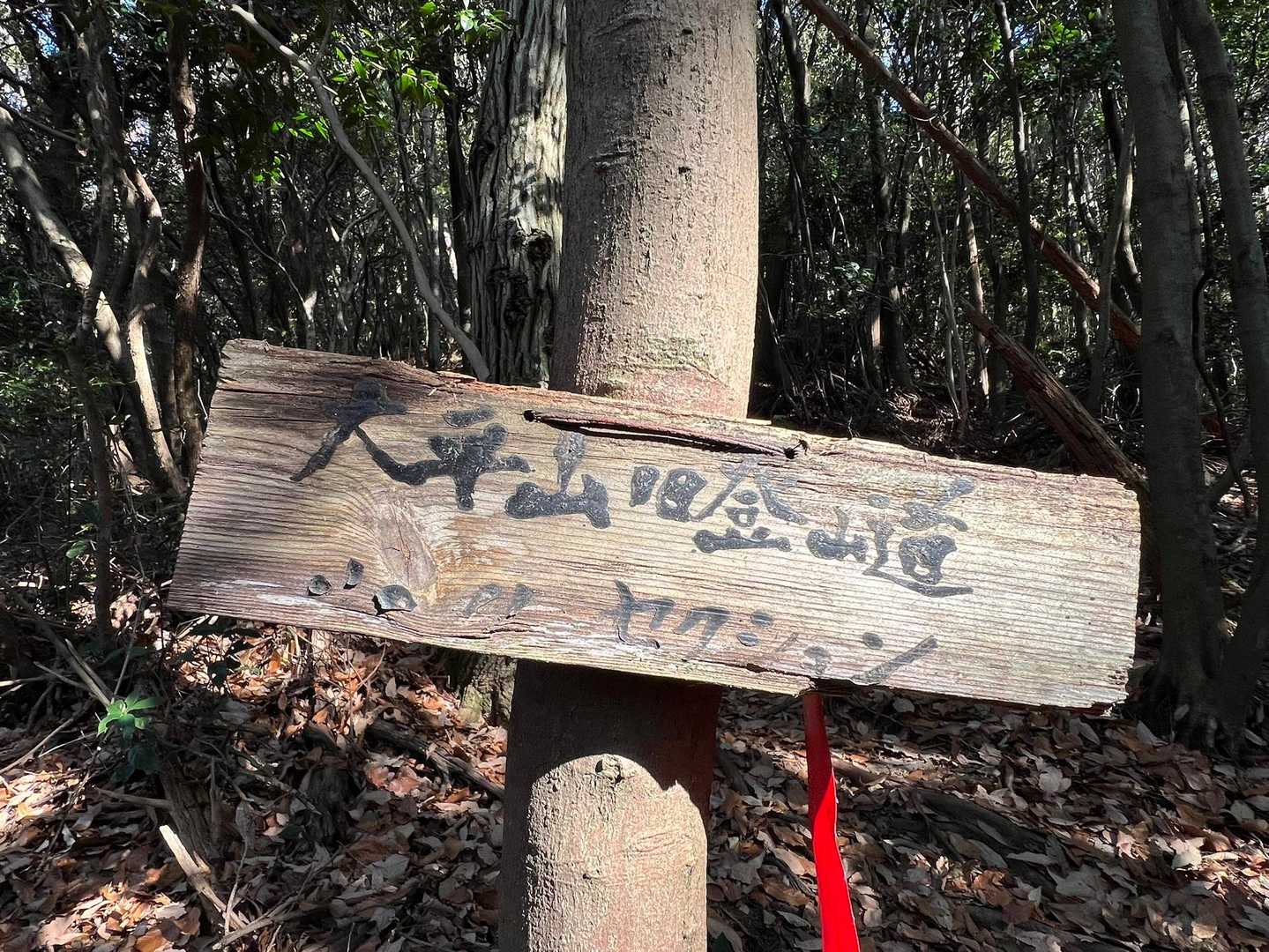 案内板あります👍