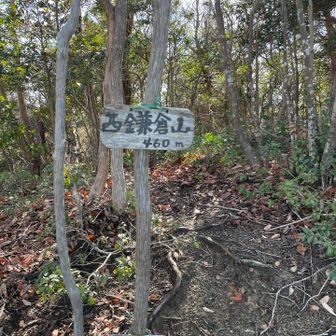 着きました。ここに来るまでの急登が一番しんどかったです。分岐に戻って焼山に行きます。