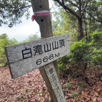 ここにも標識
　眺望はガスっていて残念😢