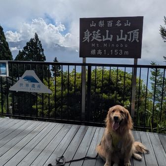 やっぱり見えない🗻