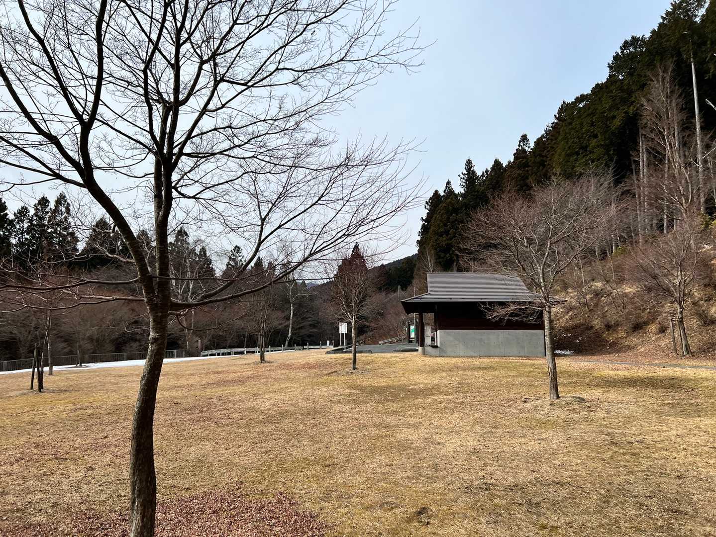 栃本広場に到着
天体観測ではポピュラーな場所らしい✨
でも鹿の糞がいっぱい🦌💩