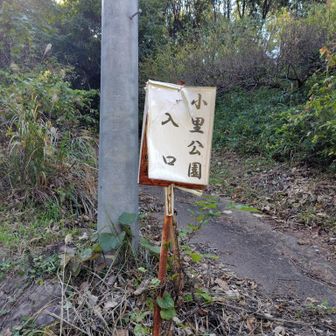 御岳山登山口へ移動