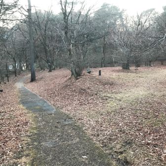 ＹＡＭＡＰ地図の道は右と左の道の間