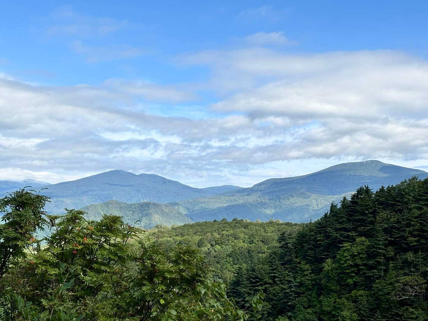 (ㆁᴗㆁ✿︎)吾妻連峰
