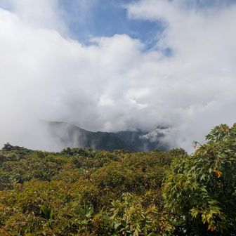 ガスの向こうに袖朝日岳。
今回行くのは朝日連峰の西朝日岳と大朝日岳と、オマケで小朝日岳。
