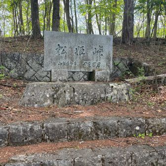 松姫峠に戻りました。