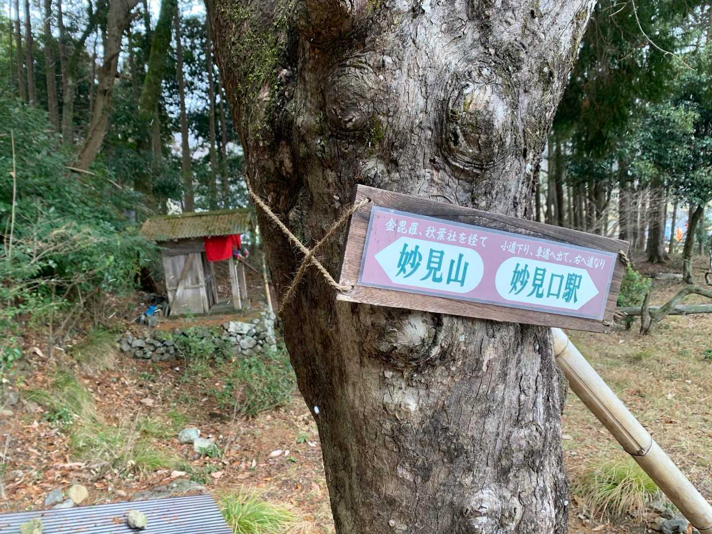 妙見山-大堂越-黒川駅 周回コースの写真