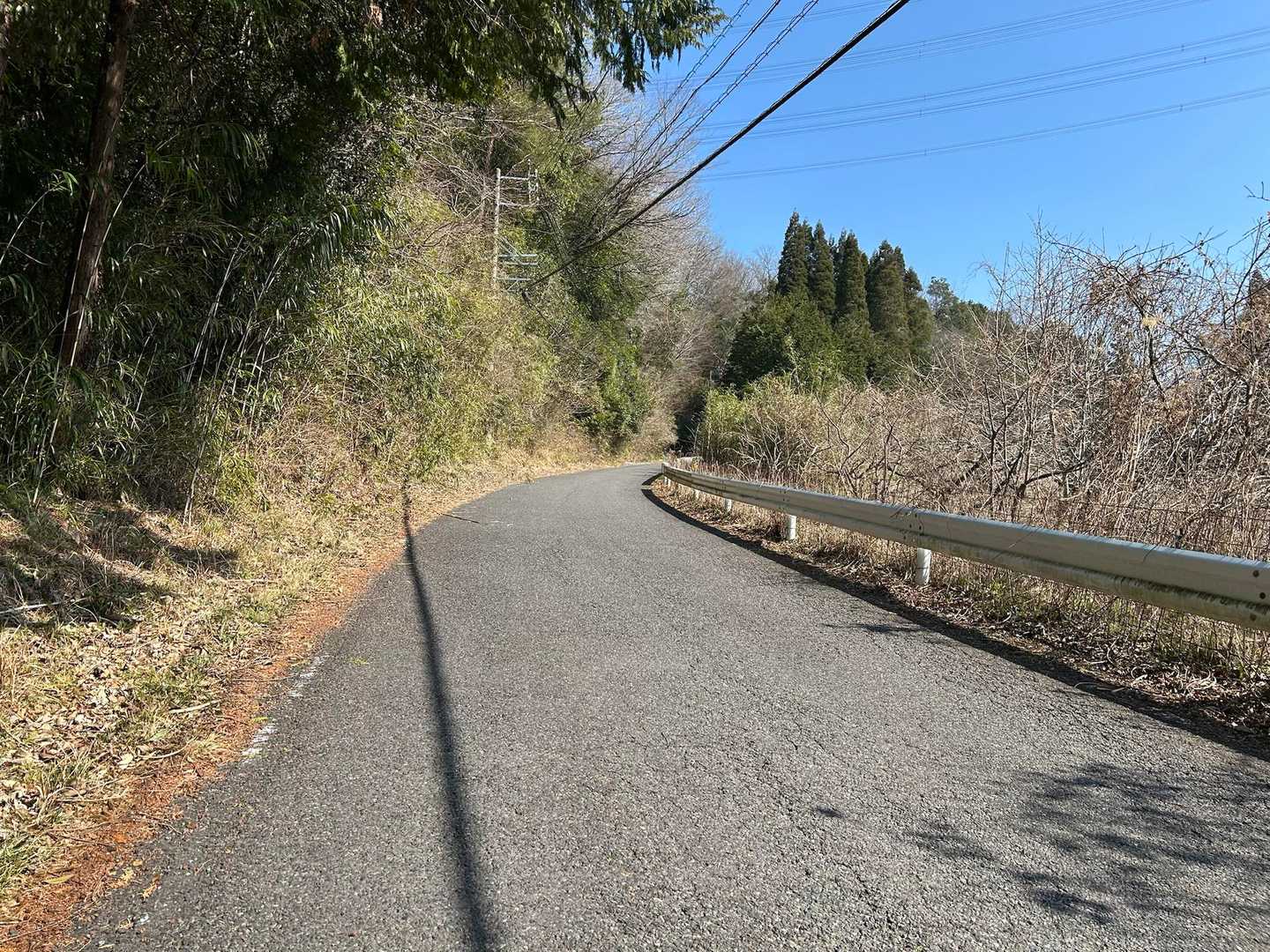 舗装路を歩きます🚶‍♀️