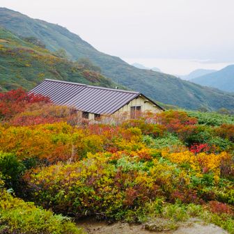切合小屋も紅葉に埋もれてました