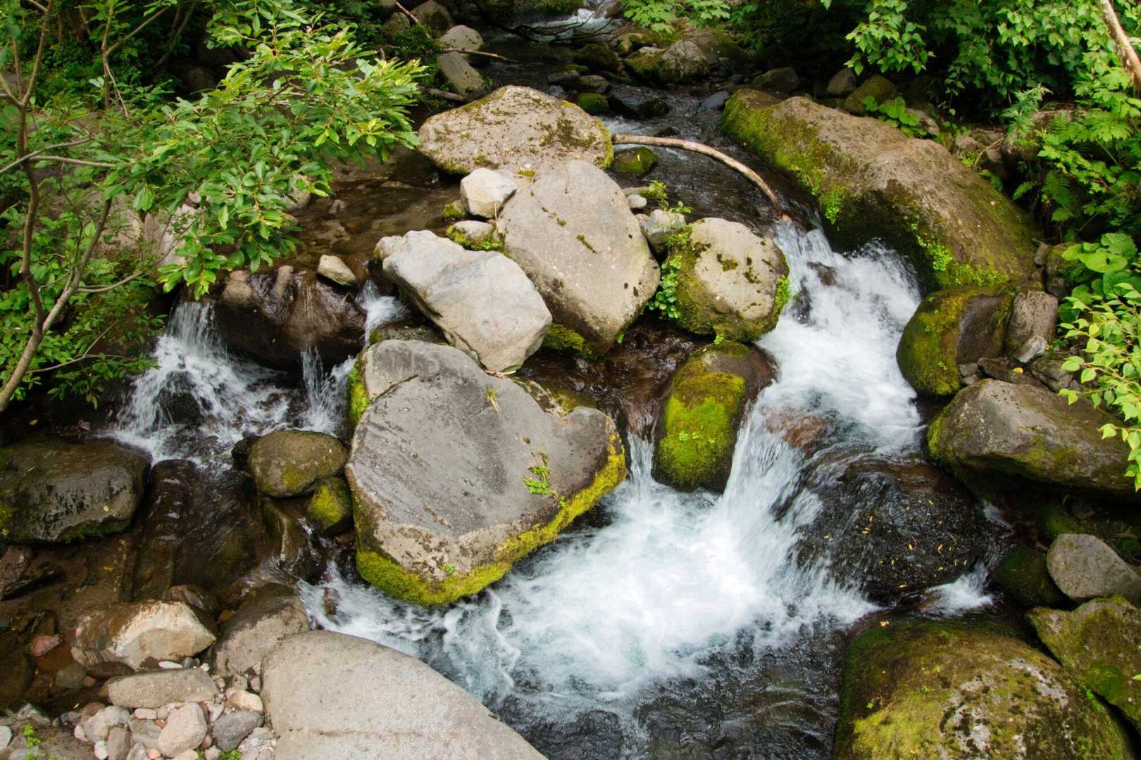 山の水はアレコレ言う人がいるけれど、わたしは顔洗っちゃう派です。気持ちいい～。