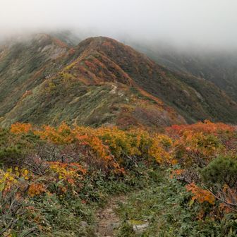 ユーフンからの尾根歩き、素晴らしい✨