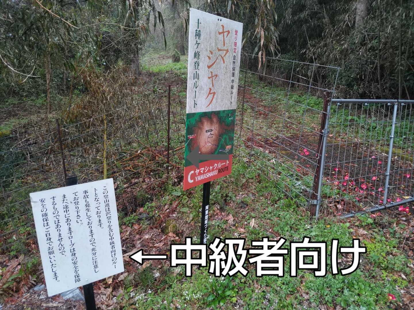 一般道を抜け登山道へ🚶‍♀🚶‍♀🚶‍♀
看板には「中級者向け」との注意書きがあります👀

小雨でも登りなので、低山中級者？の私には余裕でしたね😄