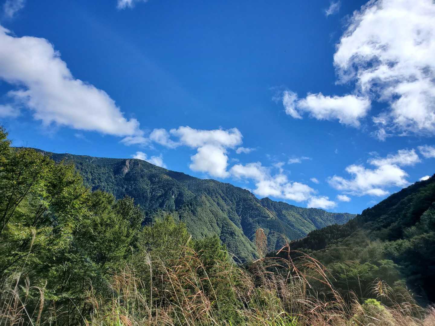 良い天気なので、大峰山の稜線がくっきり。