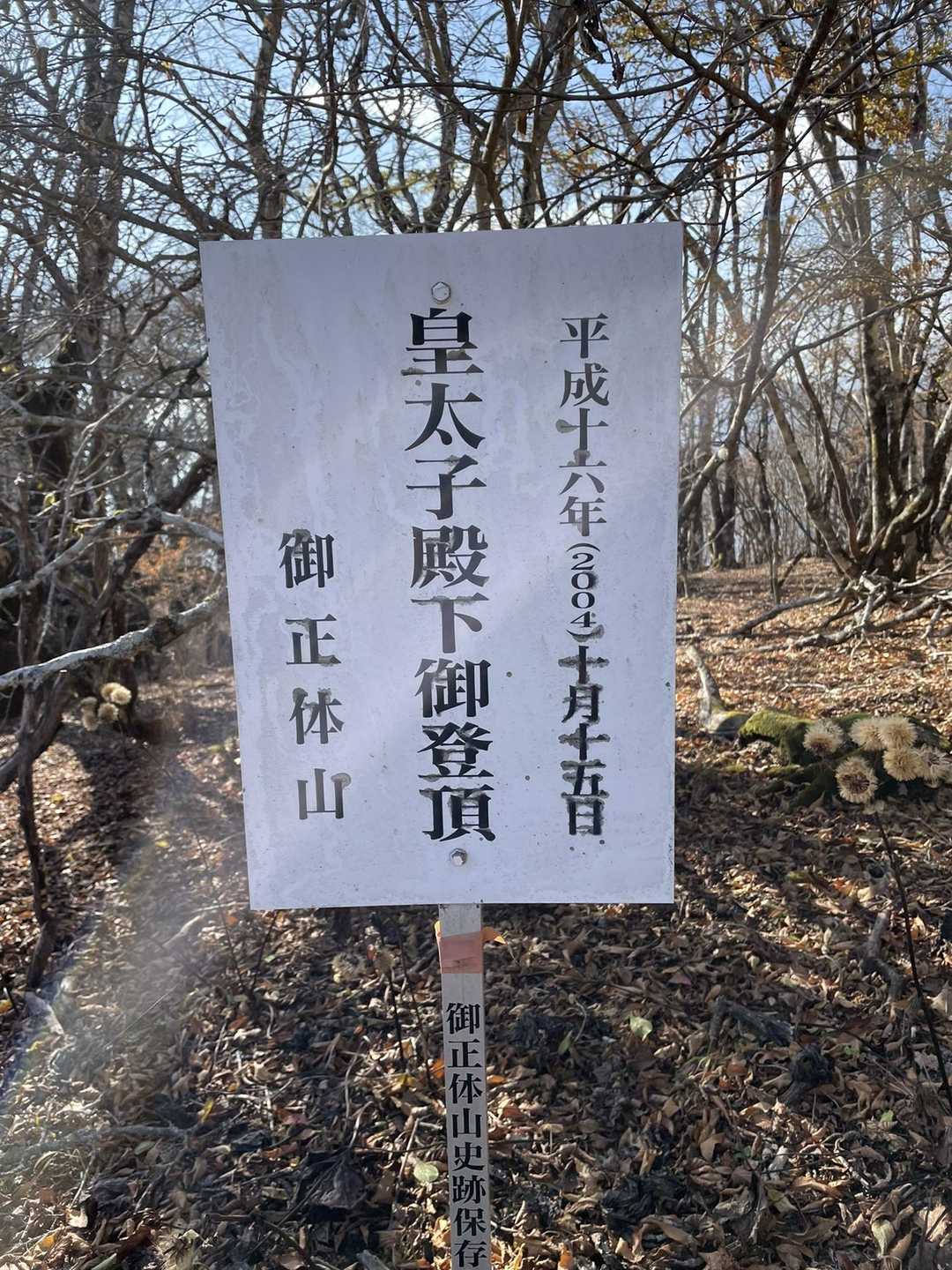 同じルートできました