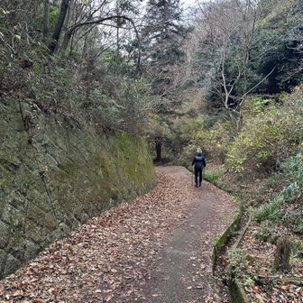 万葉の森の舗装路コース💦
下りも転がりそう💨

今年最後にお山に登れた事に感謝✨

皆様の来年のお山も御安全に🏔️そして色々と楽しい事が多いと良いですね🥾✨