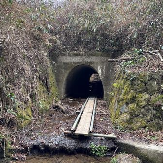 土管出口から見た土管