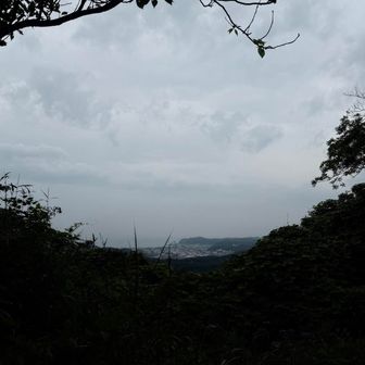 眺望イマイチ。草ぼうぼう