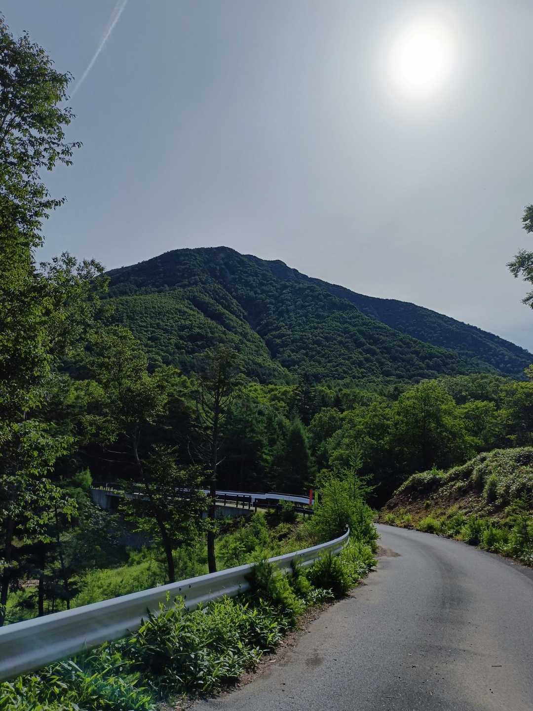 大真名子山。

前回はガッスガスで裏男体もまともに拝めなかったし、今回の太郎山で大真名子山のリベンジを果たすつもり。
