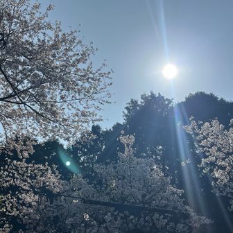 日差しはすっかり春です🌸
お疲れ様でした😄👍