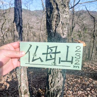仏母山（ぶつもざん）:232m
🎆✨️これで20座終了✨️🎆