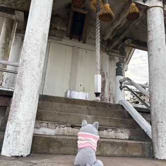 こにゃもこの1年間谷底に落ちることなく一緒にお山に付き合えたことへの感謝の気持ちを宝満山の神さまに伝えます😽　　　　　　こにゃ

7月
私、勤続30年、頑張りました😅