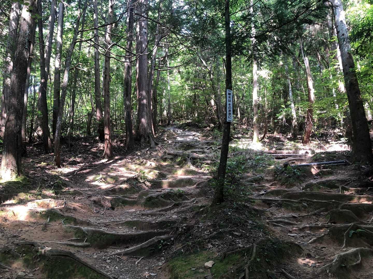 久しぶりの低山