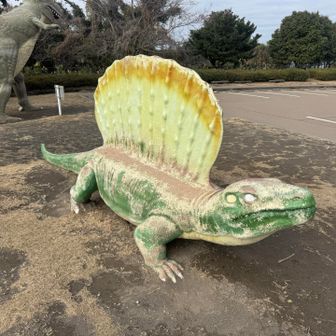 貴重な産卵シーン