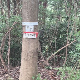 あとは下るのみ