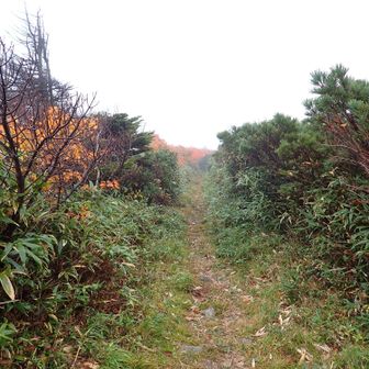 正午まで大深山荘はちょっと厳しいかな😑少しペースアップ必要だね…