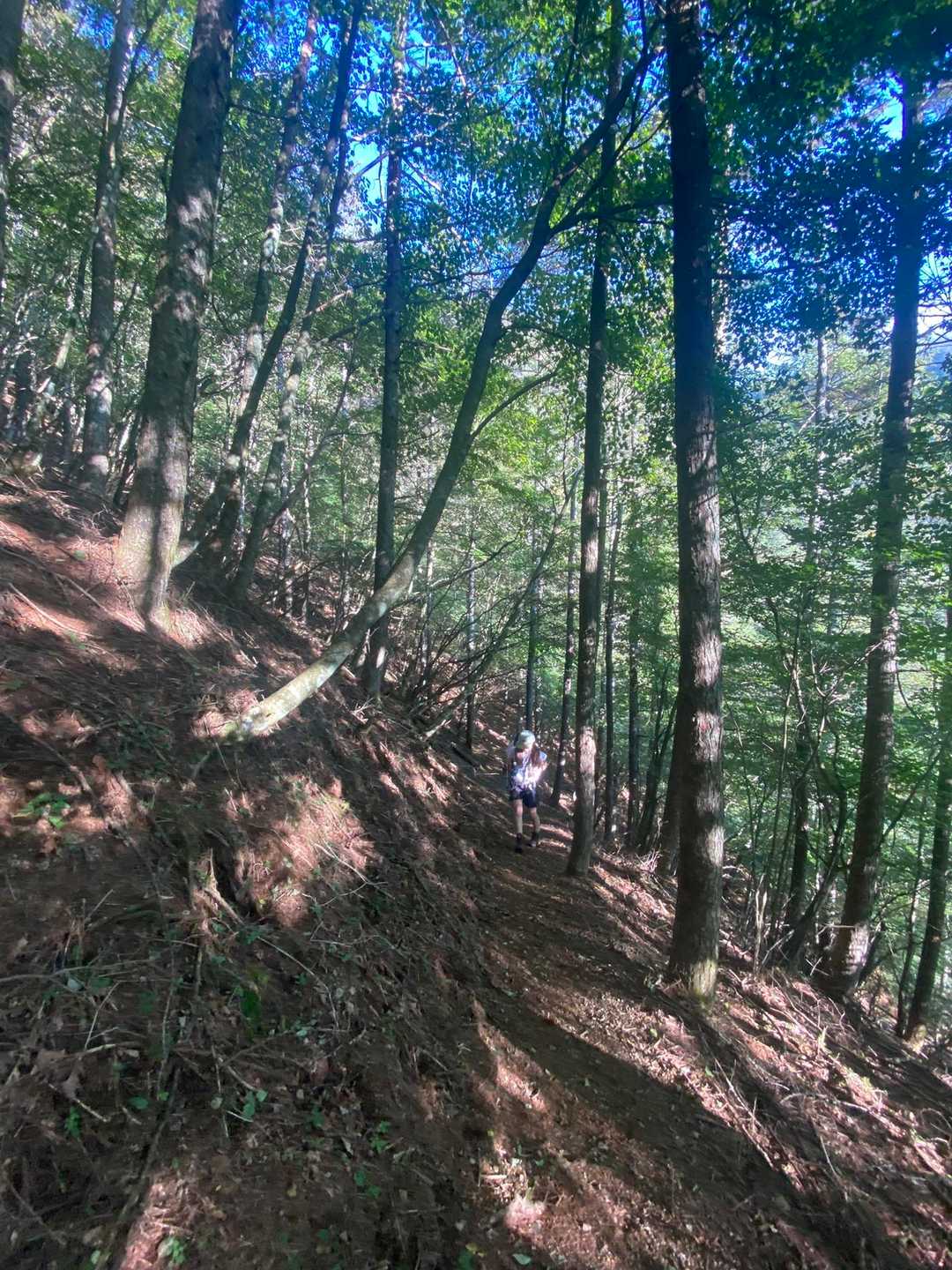 王岳（西湖いやしの里）の写真