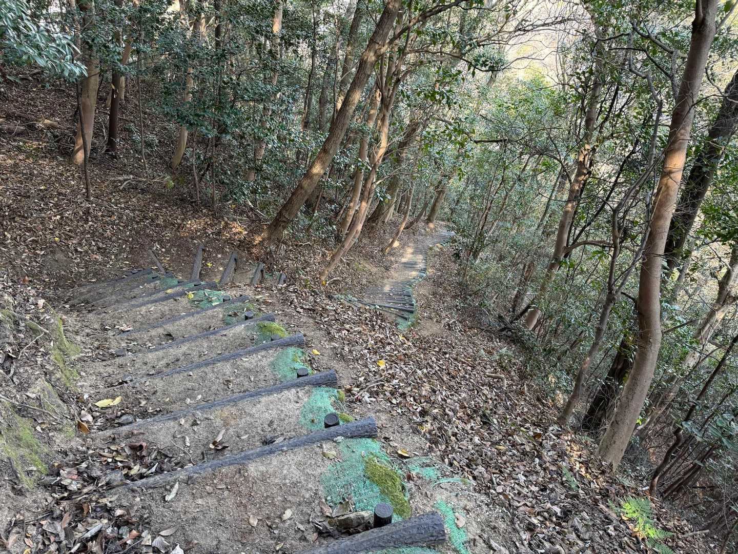 ここからひたすら階段下る
めちゃくちゃ下るな〜と思ってたら