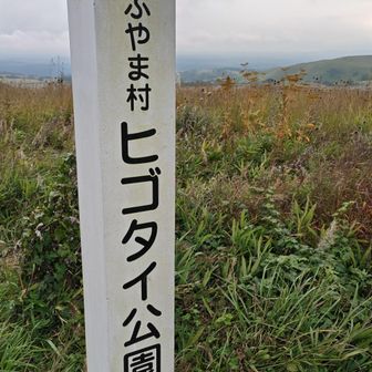 ギリギリ人が映らず撮影👍ひそかに標識の後ろに人が隠れた瞬間に撮りました👍
めちゃくちゃ人が多かったです😳
看板周囲もたくさんいらっしゃいました😳