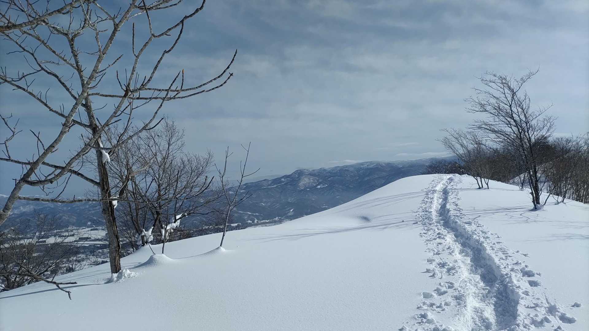 愛宕山 往復コースの写真