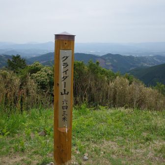 とうちゃこ🙋
こっちはほとんど人がいない！🤩