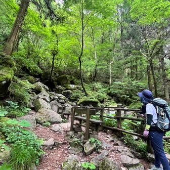 風穴は､じっとしてると寒くなる😅
天然のクーラー🤣