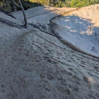 砂に足跡２本左は人間、右は獣道間違うと滑り落ちそうヤバイ