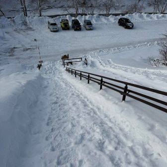 この山行の核心は駐車場へ戻る階段⚠️
あとみんな近い🫶😆