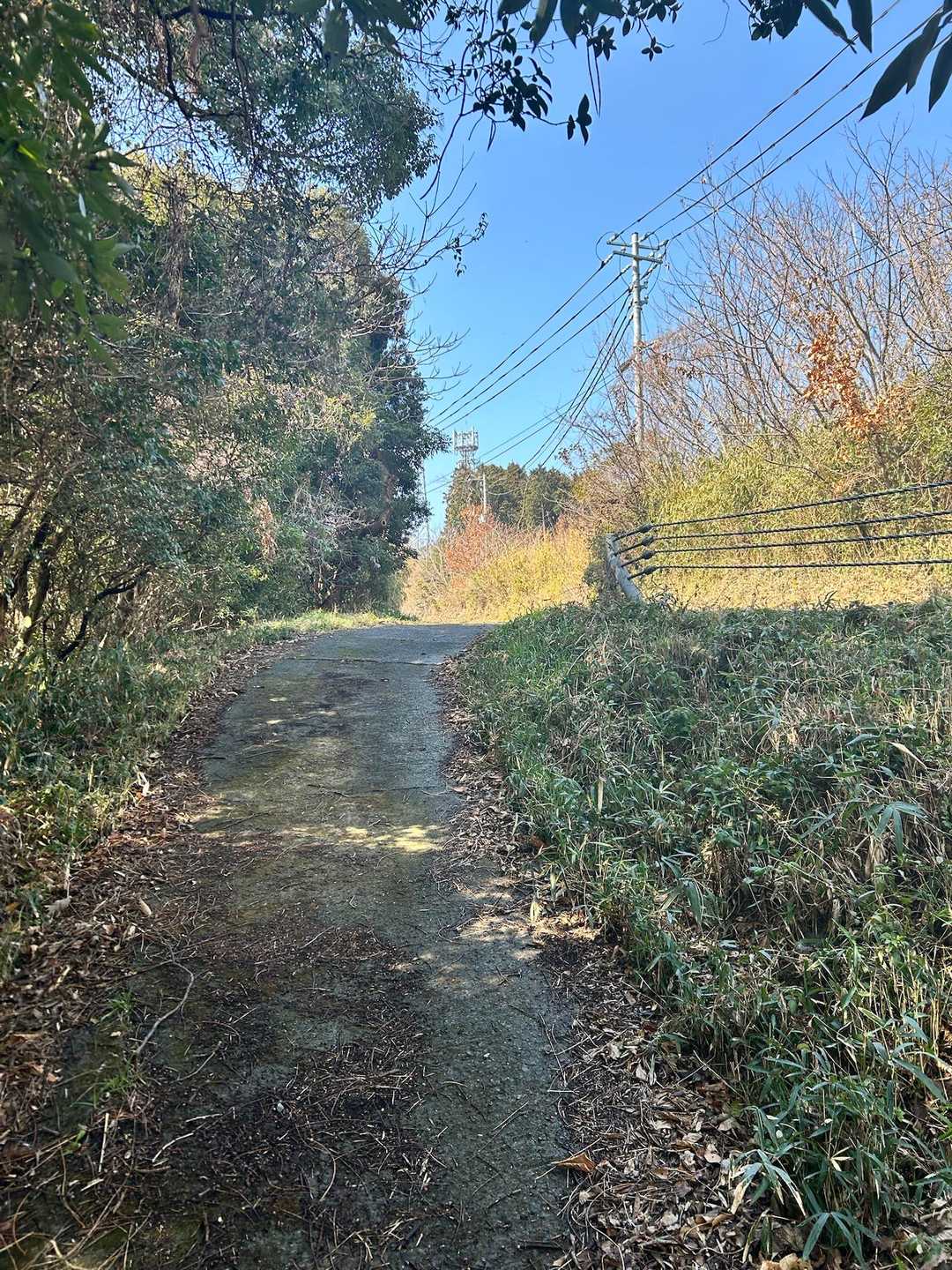 車道に出て来たよ
またしばらく車道歩き🚶‍♀️
