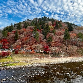 巴川越しの飯盛山⛰️
山あり川ありお寺あり紅葉あり美味しいグルメあり楽しい時間あり…
一度に何度も楽しめました❣️