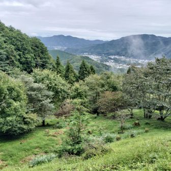 少し開けた所で📷️✨️
後少しで山頂です😊
前夜雨でしたが、砂利が引いてある広い整備された道だったので、ぬかるみも少なく転ぶ心配なくここまでこれました。登山道ぽい狭い脇道もありますが、雨の後なので、今日はこちらが正解かな