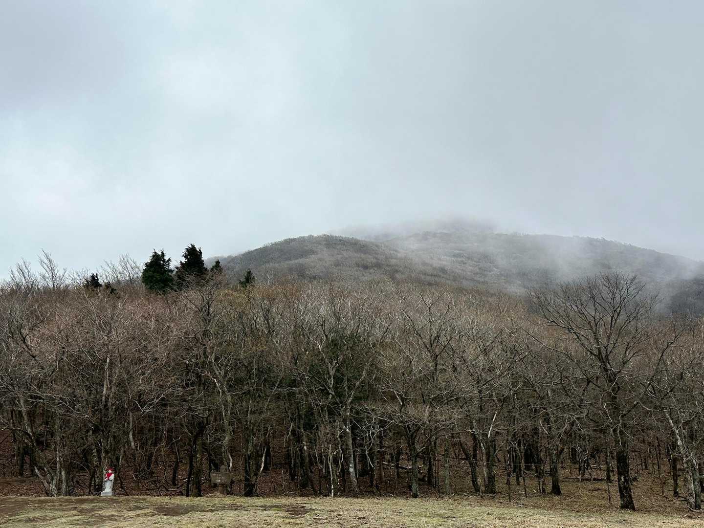 祖母山周回 | 九州脊梁の核心部。手付かずの森と百名山の頂を訪ねるの写真