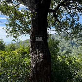 城山