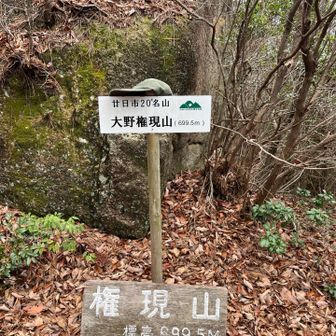 登頂しました。